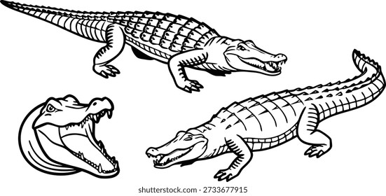Three detailed alligator illustrations are displayed against a transparent background. Each alligator is rendered in a clean, black-and-white line art style, emphasizing their textured skin and anatomical features. The alliga