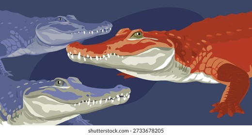 Se muestran tres ilustraciones detalladas de cocodrilo sobre un fondo transparente. Cada cocodrilo se representa en un estilo de arte lineal limpio en blanco y negro, enfatizando su piel texturizada y sus características anatómicas. La liga
