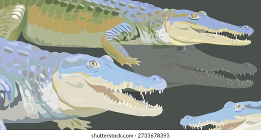 Drei detaillierte Alligator-Illustrationen werden auf transparentem Hintergrund dargestellt. Jeder Alligator ist in einem sauberen, schwarz-weißen Strich-Art-Stil gerendert, der seine strukturierte Haut und anatomischen Merkmale betont. Die Alliga