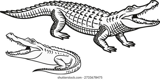 Three detailed alligator illustrations are displayed against a transparent background. Each alligator is rendered in a clean, black-and-white line art style, emphasizing their textured skin and anatomical features. The alliga
