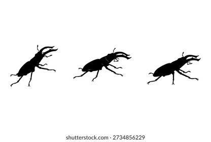Three detailed black silhouettes of large male stag beetles, Lucanus cervus, featuring their characteristic mandibles, are arranged horizontally on a clean white background, providing excellent copy space and graphic utility.