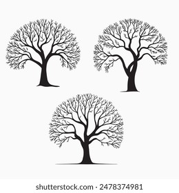 Three detailed black and white tree silhouettes with bare branches.