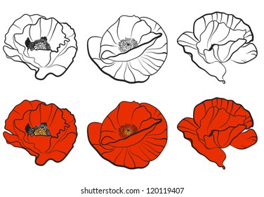 Three different bud of poppy. Template for your design