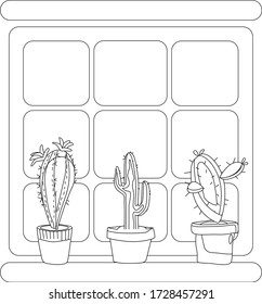 Three different cacti in pots on the window black and white icon