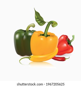 Three different colored and different types of sweet bell peppers (capsicum) and Fresh Chillies isolated on white background.