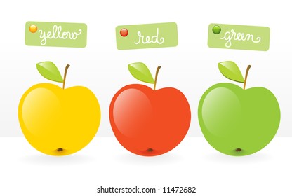 tres colores diferentes ilustración vectorial de manzanas verdes frescas con etiquetas y escritura a mano