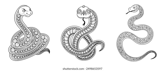 Three different drawings of a snake, each with a different design. The first one is a simple, straight line, the second one has a diamond pattern, and the third one has a more intricate design