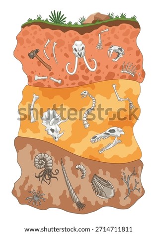 Three different eras of Earth history. Fossil dinosaurs, elements for paleontology and archeology works. Scene with various animals bones in soil layers. Old dino skeletons buried underground