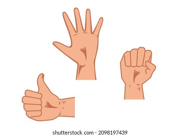 Three different hand positions. Closed hand, open hand and like