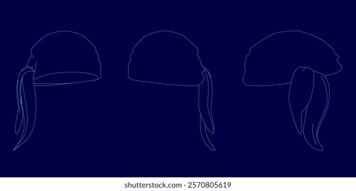 Three different hats are shown in a blue background. The hats are all different styles and colors, but they all have a similar design. The hats are arranged in a row, with the first hat on the left