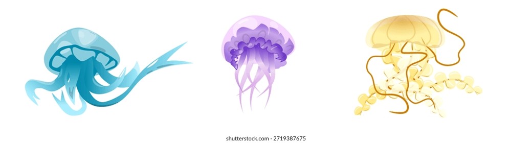Tres medusas diferentes sobre un fondo blanco, Imagen de Vector
