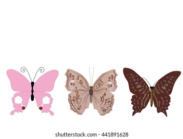 Three different kind of butterfly or moth. isolated pictures vector illustration,for object or background.