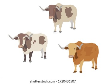 three different ox. Vector illustration for an isolated group of oxs.