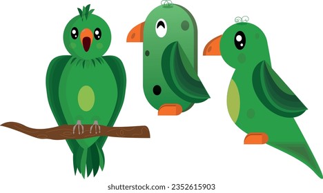 three different parrots for kids