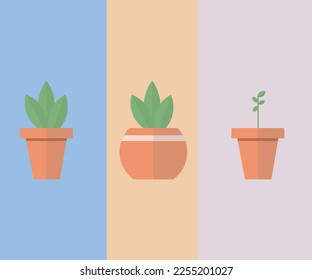 Three Different Potted Flowers Vector
