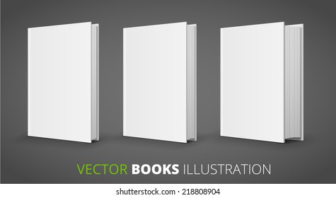 Three Different Size Vector Books On Gray Background