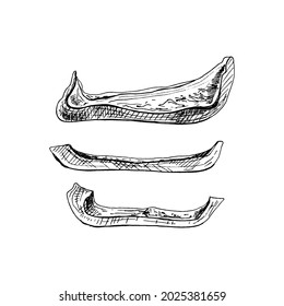Drei verschiedene Scheiben, süße rote Glockenpfeffer. Vektor Vintage Schraffur Farbe Illustration. Einzeln auf weißem Hintergrund. Handgezeichnetes Design