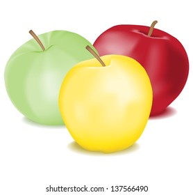 Three different tasty apples  isolated on white background