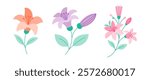 Three different types of flowers are shown in a row. The first flower is a pink and orange lily, the second is a purple flower, and the third is a pink flower. The flowers are all different colors