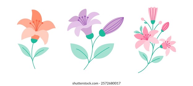 Three different types of flowers are shown in a row. The first flower is a pink and orange lily, the second is a purple flower, and the third is a pink flower. The flowers are all different colors