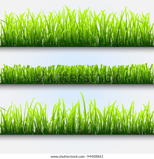 Three Different Types Of Green Grass For Design Vector Eps10
