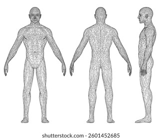Three different views of a man's body. The first is a close up of the man's chest and stomach. The second is a close up of the man's back