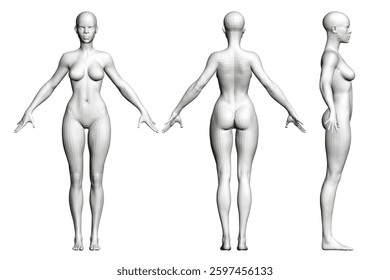 Three different views of a woman's body, all in white. 3D