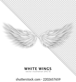 Three Dimensional White Angel Wings. Masquerade, Festival, Carnival Costume. Realistic Bird Wings Isolated On Transparent Background. Freedom, Spiritual Concept. Vector Illustrator EPS 10