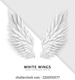 Three dimensional white angel wings. Masquerade, festival, carnival costume. Realistic bird wings isolated on transparent background. Freedom, spiritual concept. Vector illustrator EPS 10