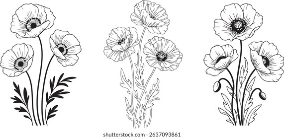 Three distinct arrangements of poppy flowers are presented in a striking black and white line art style.