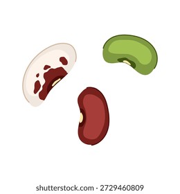 Three distinct bean varieties including kidney, pinto, and green mung bean appearing on a white background, representing legumes essential for a balanced diet and plant based nutrition