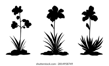 Three distinct flower plant silhouettes in black, showcasing different shapes and sizes against a plain background, emphasizing botanical diversity.