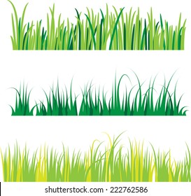 Three distinct rows of vibrant green grass, digitally illustrated in vector format, are perfectly isolated on a clean white background, ideal for various design uses.