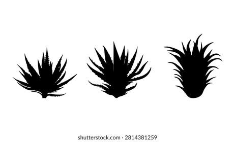 Three distinct spiky plants silhouetted in black against a white background, showcasing varied shapes and sizes of desert or tropical flora.