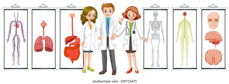 Three doctors and different human system diagrams illustration