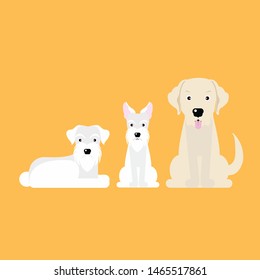 three dog happy cute group