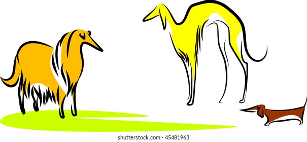 Three dogs