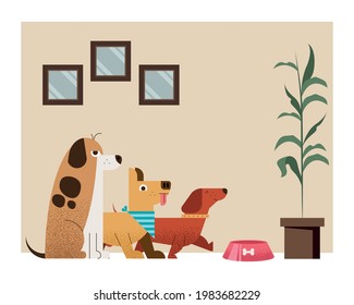 three dogs in house scene