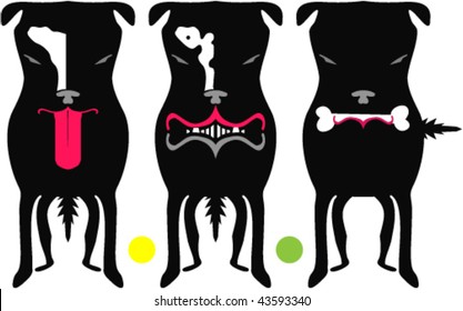 Three dogs. Illustration