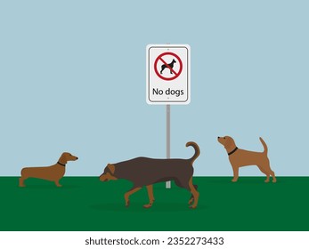 Three dogs are walking on the grass next to a "No dogs" sign