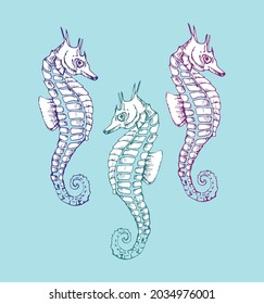 Three doodle sea horses isolated on blue background. Line art collection nautical life. Colorful vintage animals. Vector illustration.