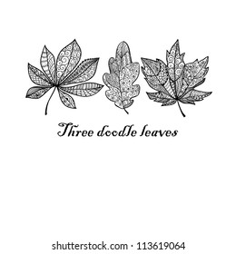 Three doodle textured leaves background.