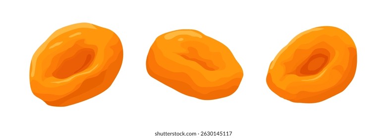 Three dried apricots vector illustrated in a colorful detailed style on white background, ideal for healthy food and snack visuals