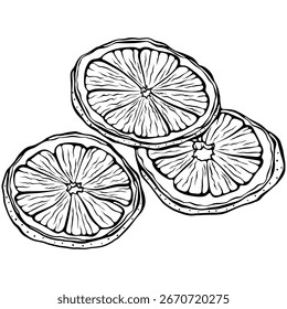 Três fatias de laranja secas. Ilustração de frutas cítricas para temas de férias ou culinária. Ilustração vetorial em estilo de esboço de rabisco desenhado à mão. Linhagem isolada em branco para colorir livro, impressão