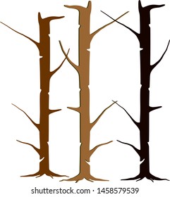 three dried trees without leaves