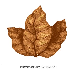 Three dry tobacco leaves. Eps8. RGB Global colors