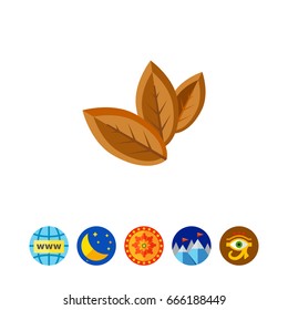 Three Dry Tobacco Leaves Icon