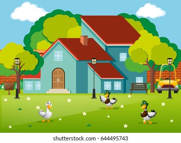 Three ducks in the front yard illustration