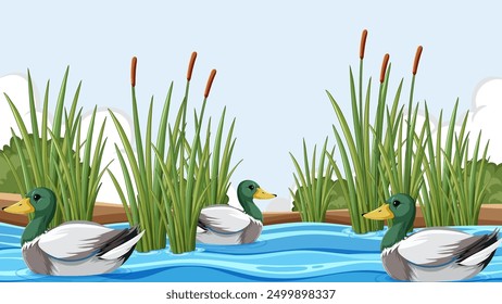 Drei Enten schwimmen zwischen hohen Schilf