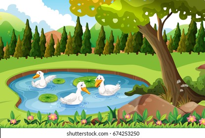 Three ducks swimming in the pond illustration